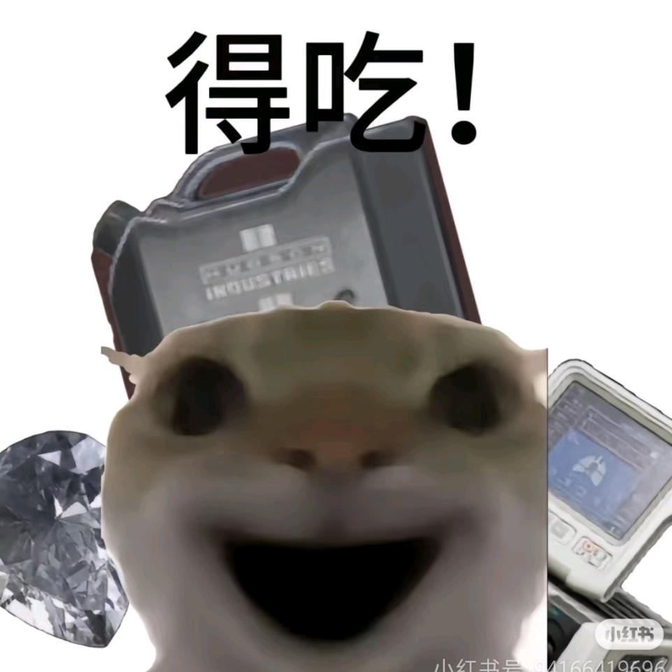 薛精分