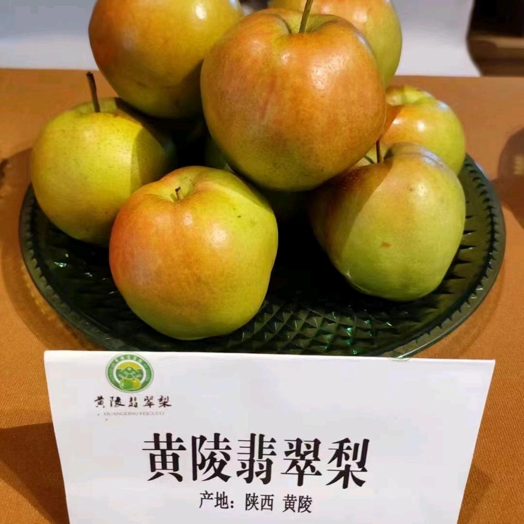 黄陵翡翠梨