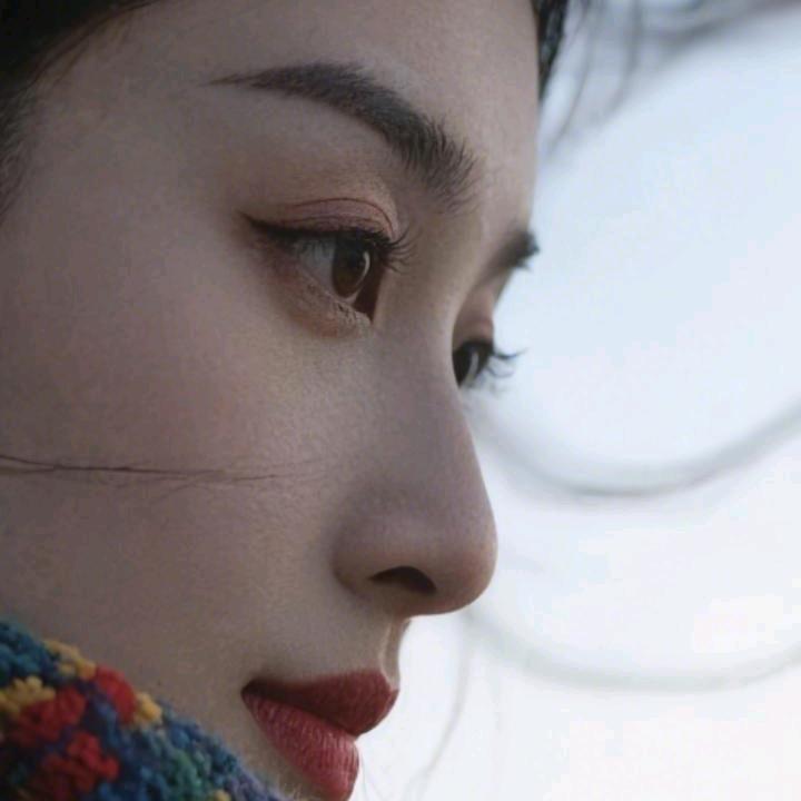D丹