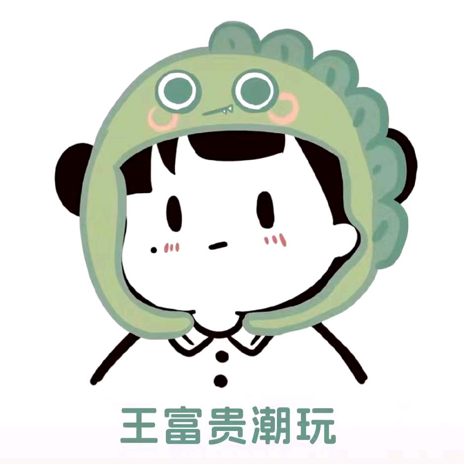 王富贵潮玩1号
