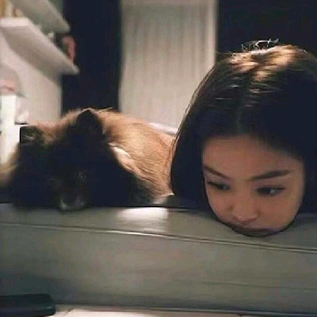 内向毒妇