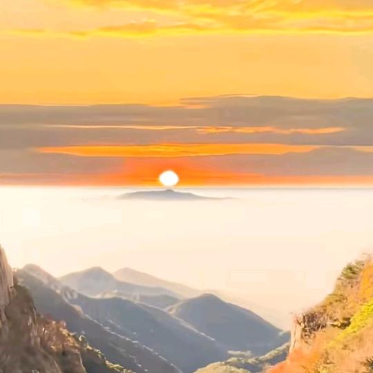 李歌