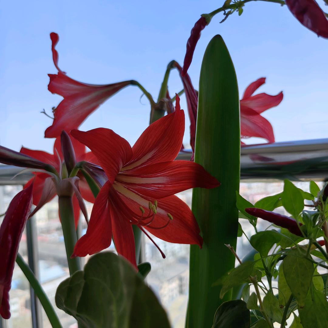 少刷抖音 多读书