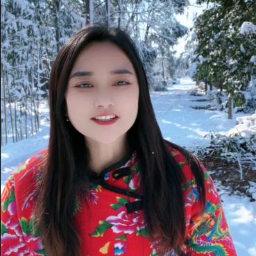 乡村丽宝石