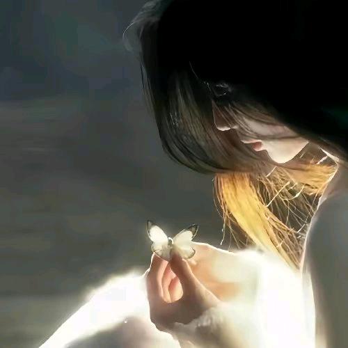 百合花