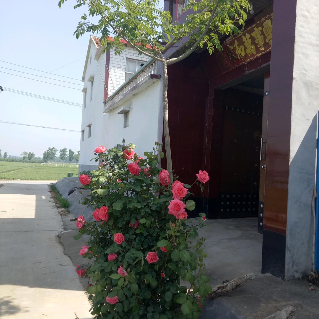 🌟胜者为王🌟