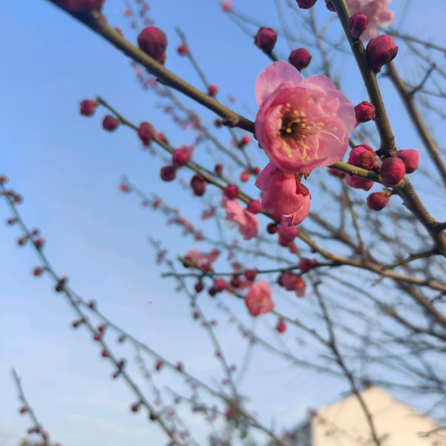 💔💔杯中烈酒敬余生 🍷🍷