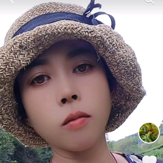 金木水火土