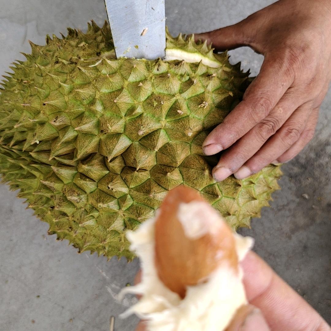 水果阿红，红红火火（