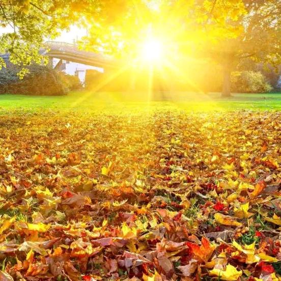 梁世文（国学）