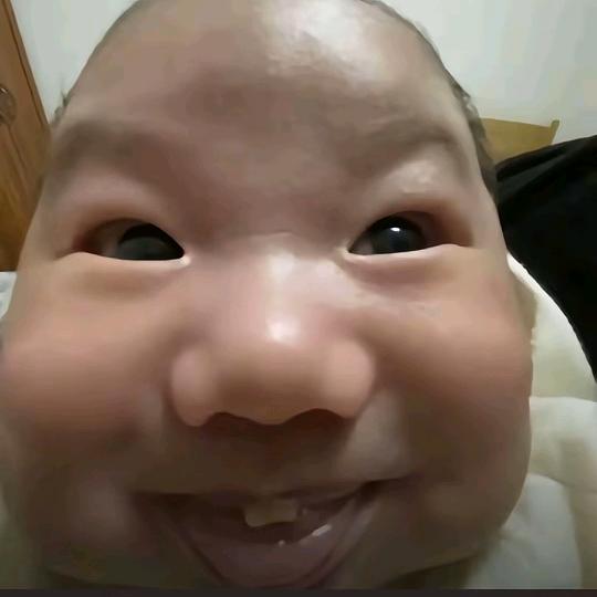 迷你奶狗酱
