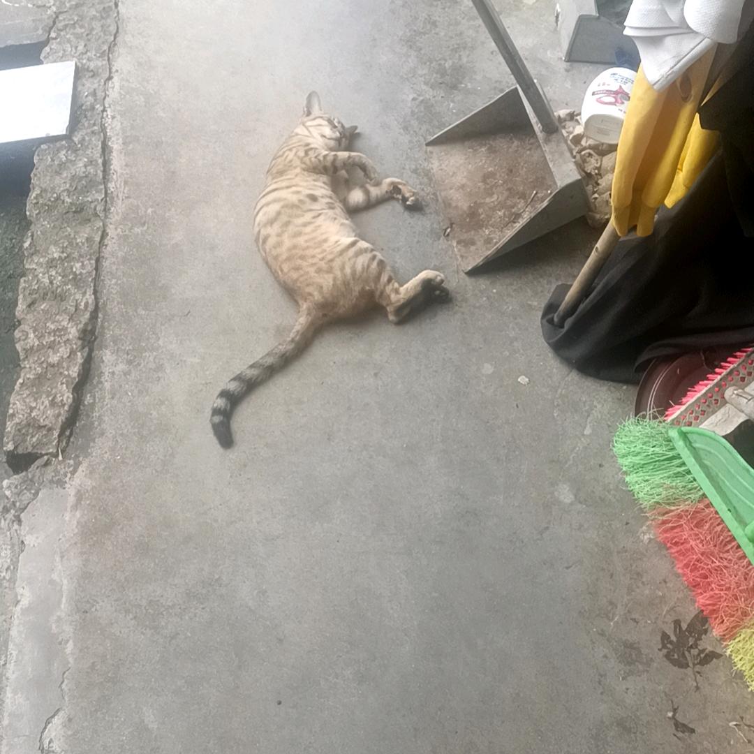 人生观察中