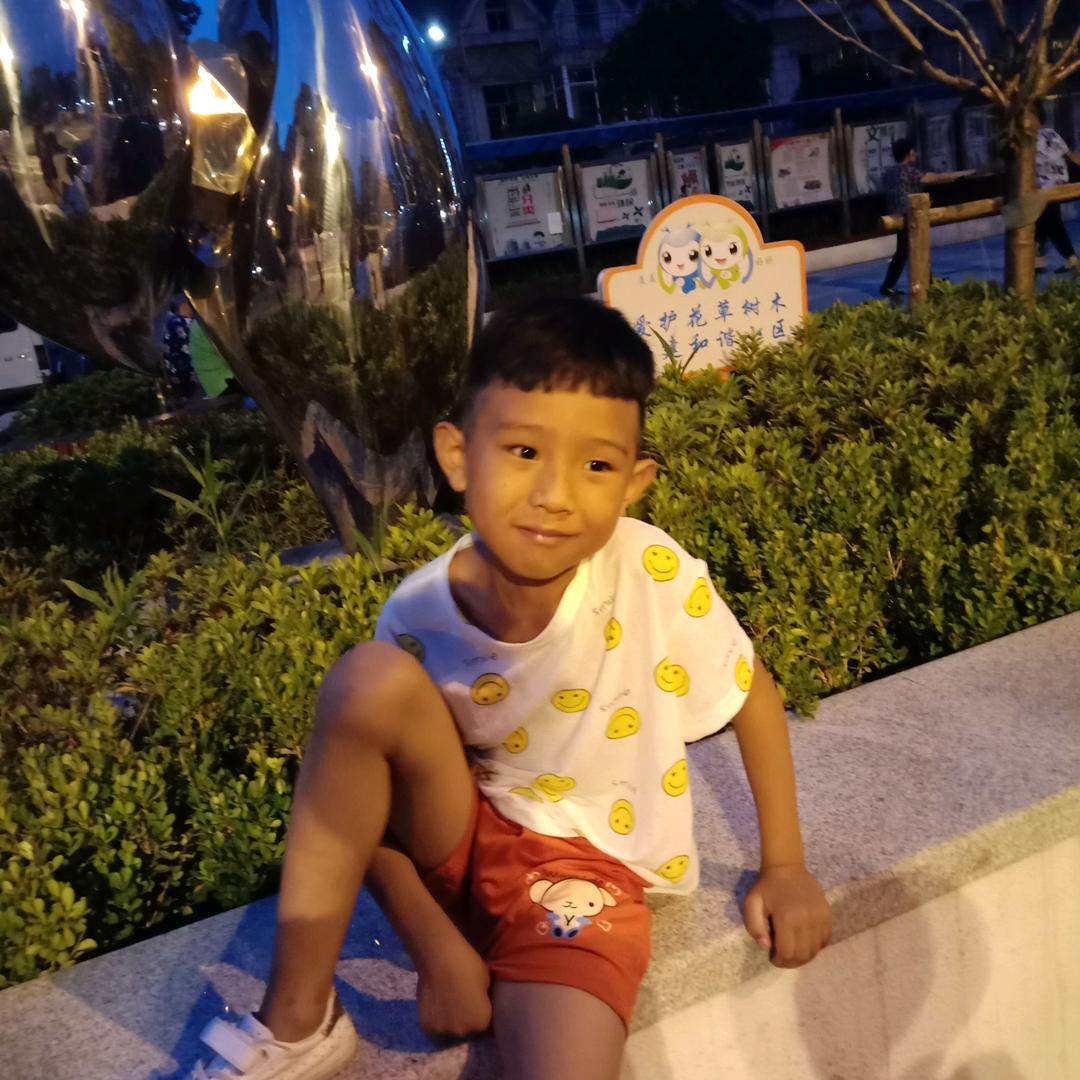 盼梦园头像