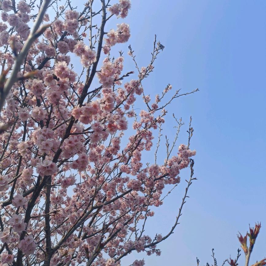 铜钱铜板铜壳子