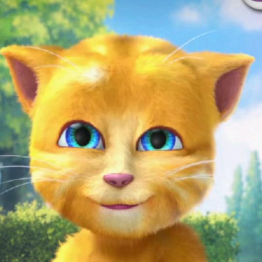 我的汤姆猫直播