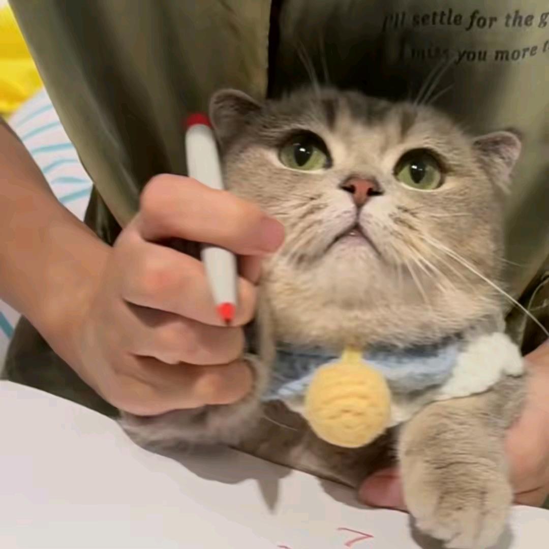 武侠大师兄