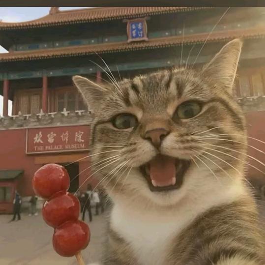 三木