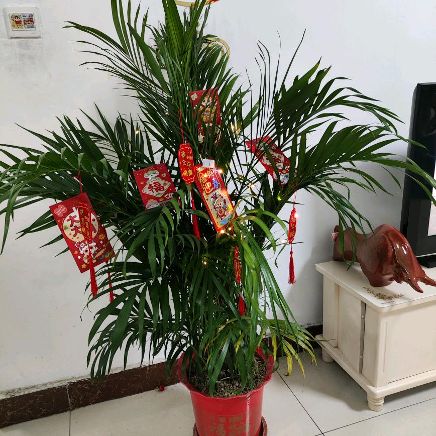 平安是福