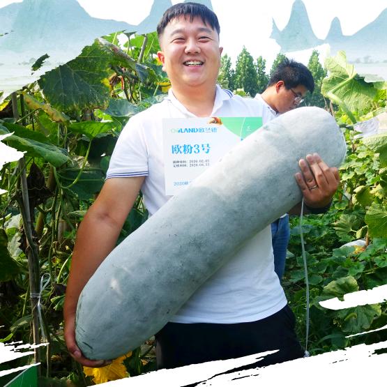 欧兰德(卖菜籽的Z掌柜)