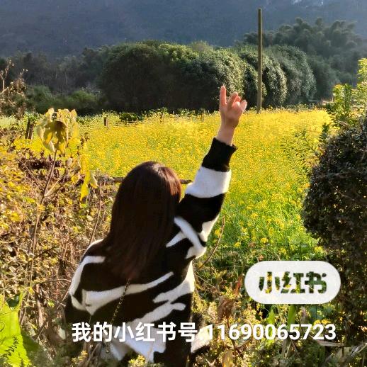 米西
