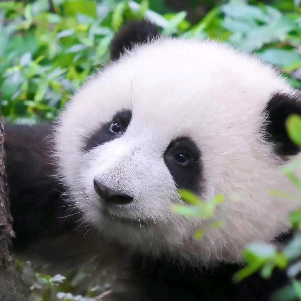 简阳天天艺术学校曾老师