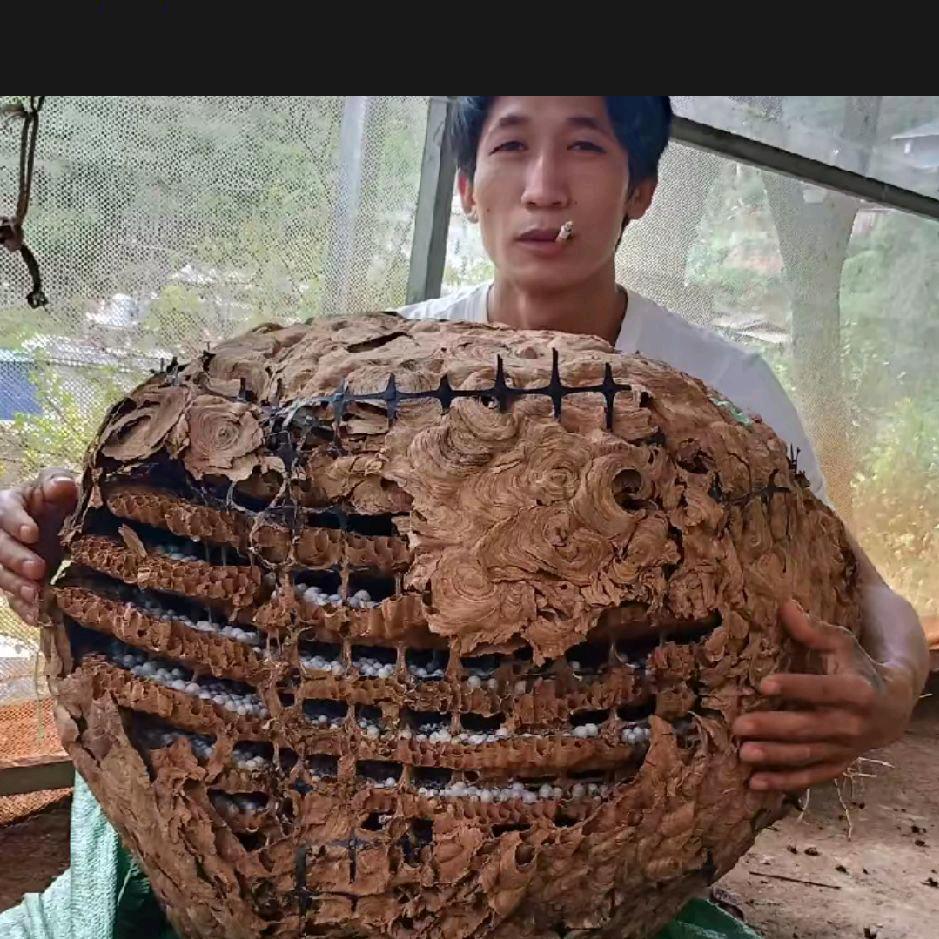 ༄ꦙ胡ꦿཌྷ蜂༊꫟缘ꦿ꧂ྀ