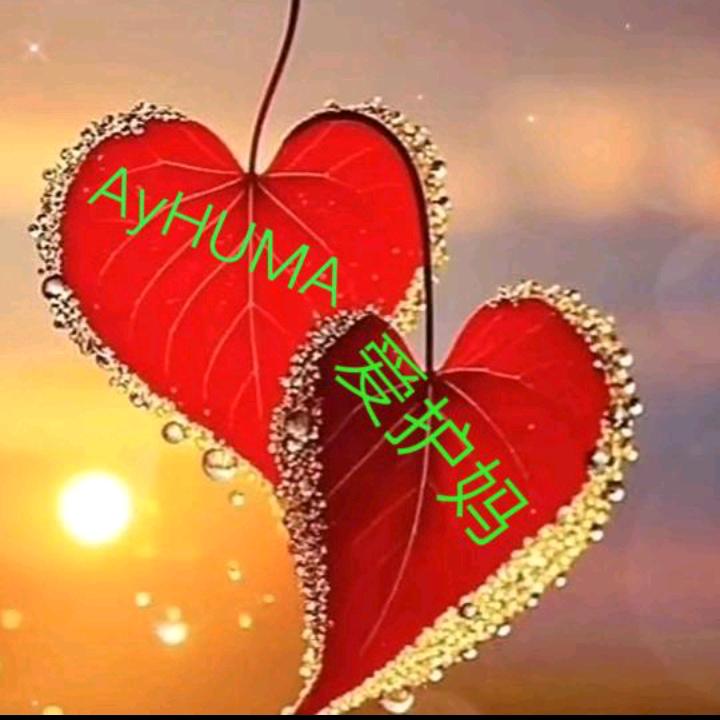爱护妈💍AyHUMA 📿