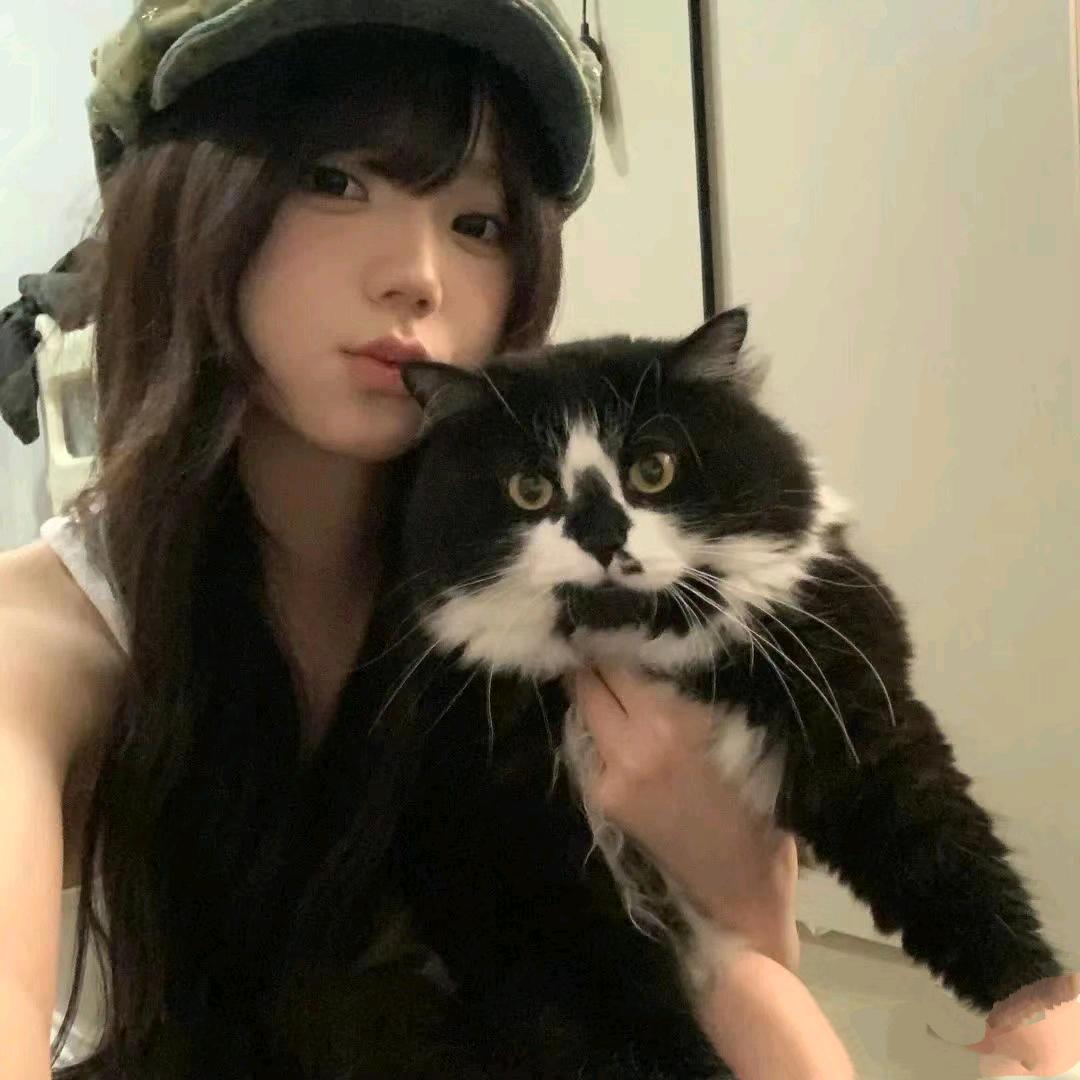 梨园戏