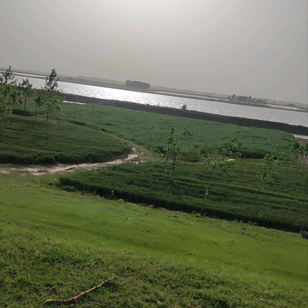 多宝湾-废铁哥