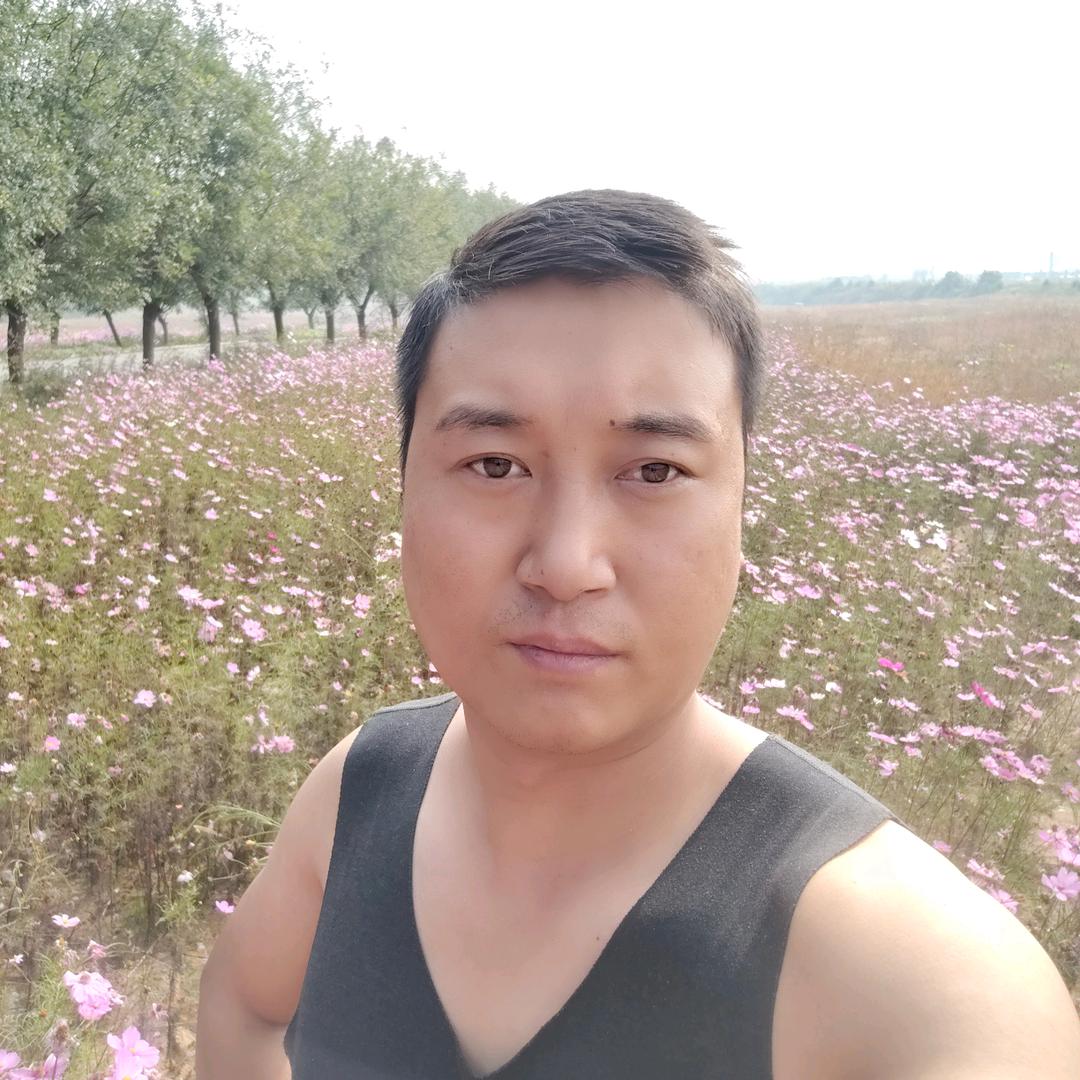 奥奔宝瑞莲汽车服务