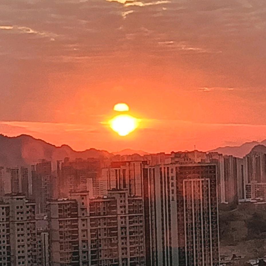 《罗哥》拒绝拉黑🌺🌺