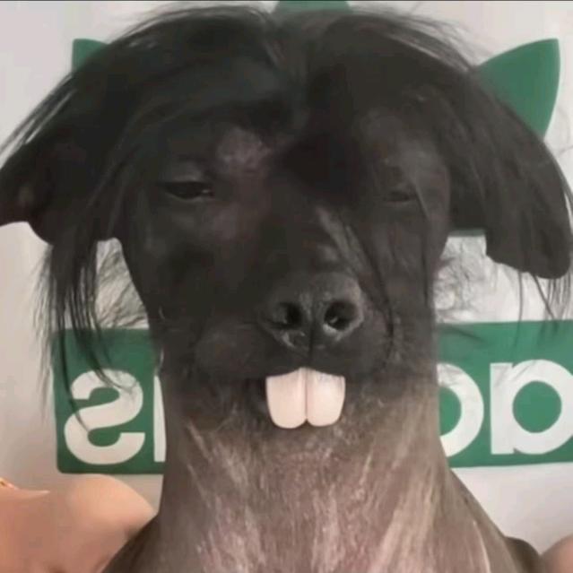 娅婷✨