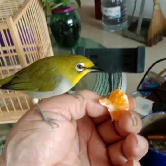 让着你