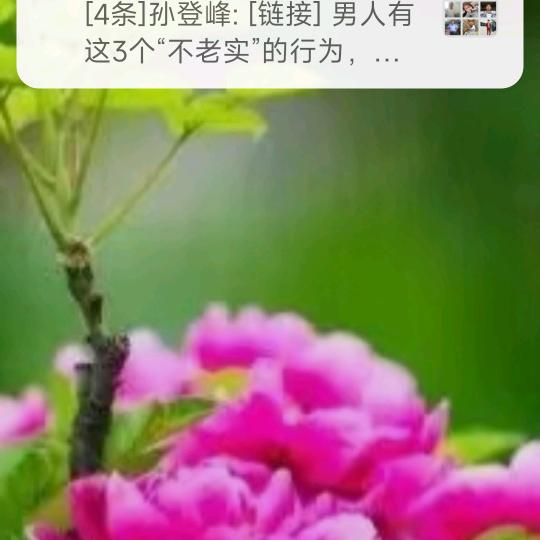 用户幸福快乐一生