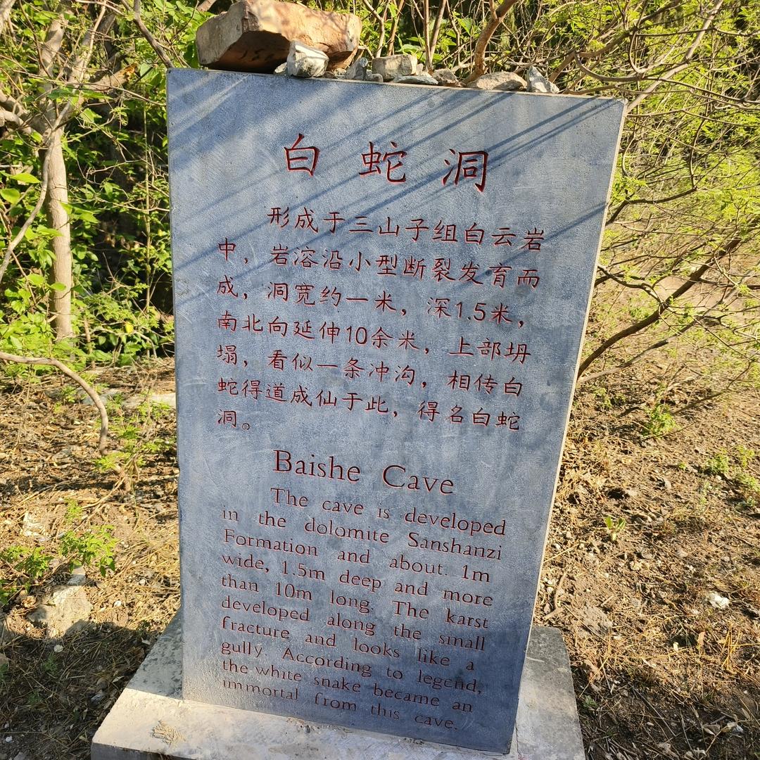 心存の思念