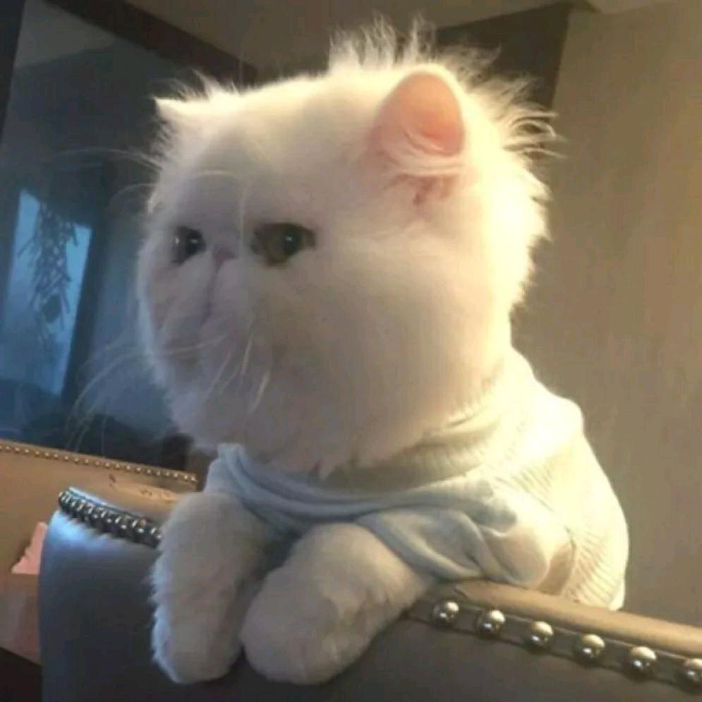 柒七七