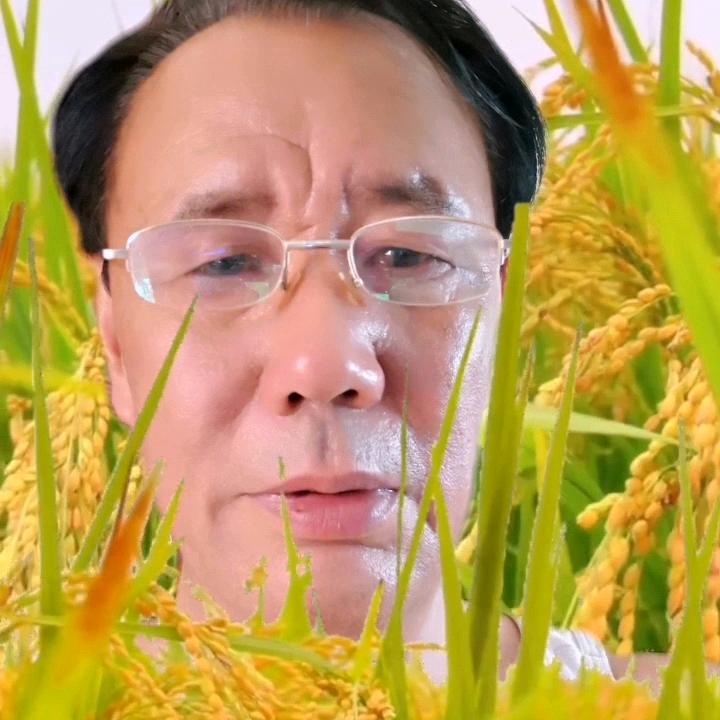 用户9826241941441