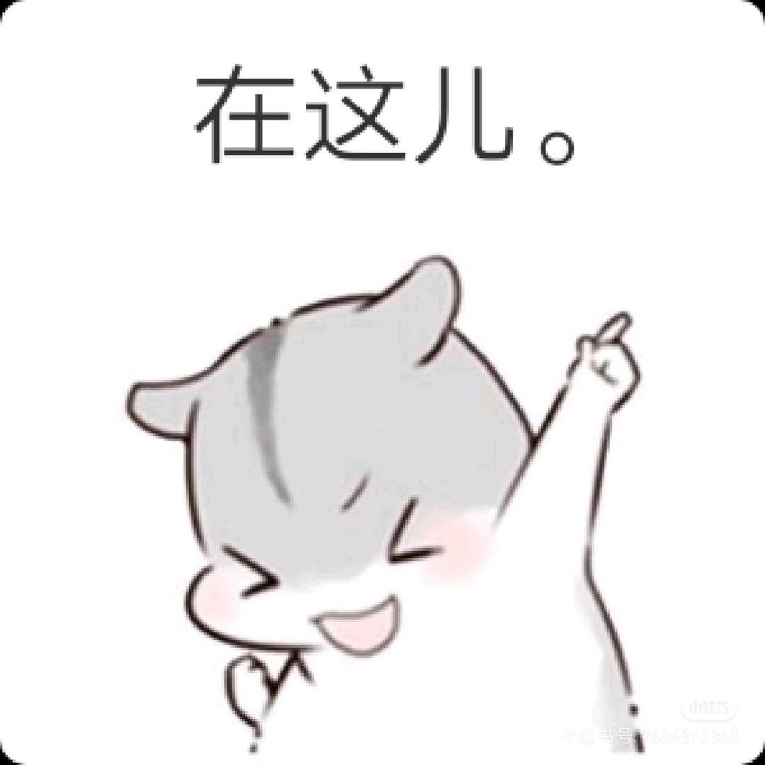 YoYo好物