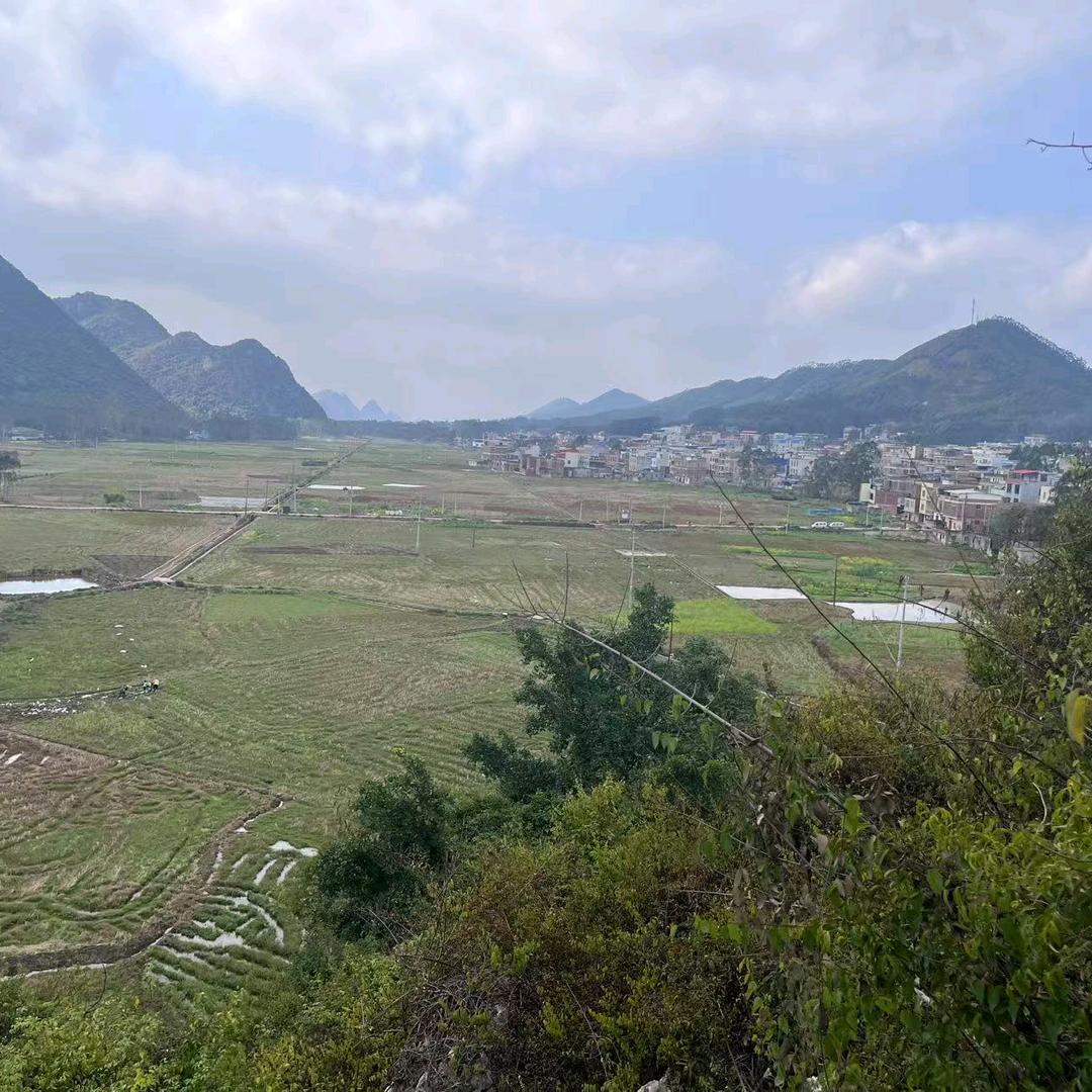 思念宝贝