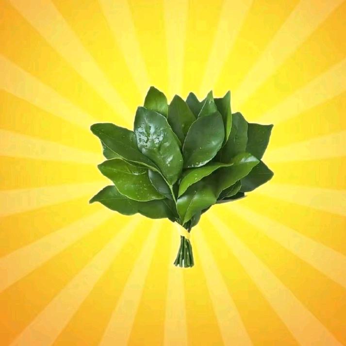 ٩๑半生♡浮名٩๑۶