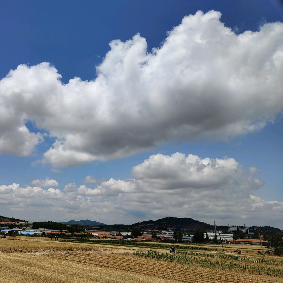 刘小曾