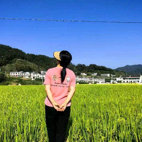 红霞姐