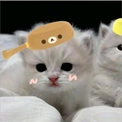 黄子🐮