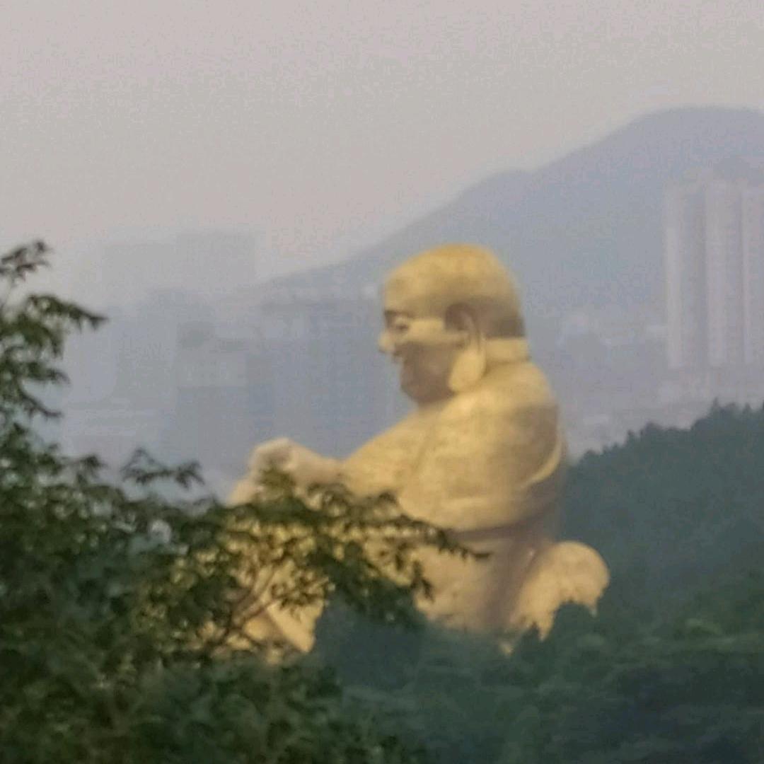 大丽