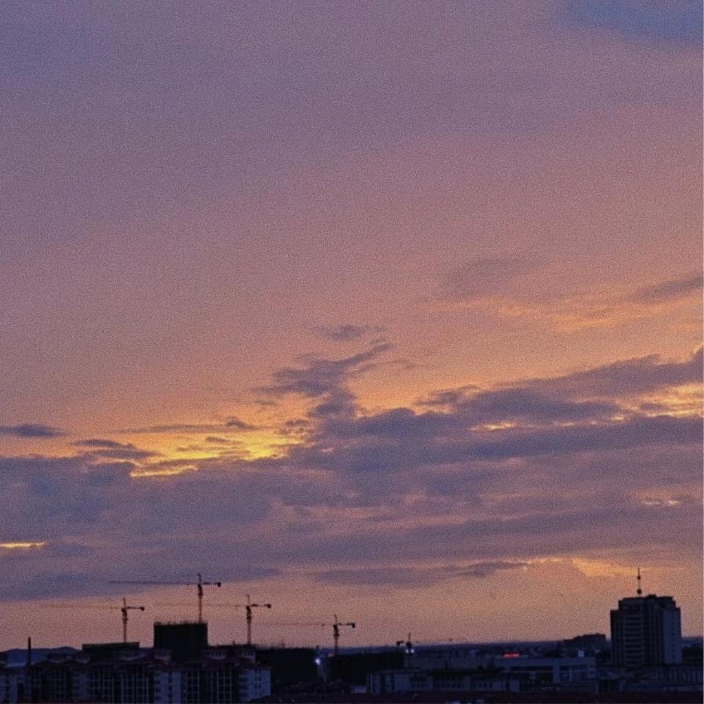 张世华。。