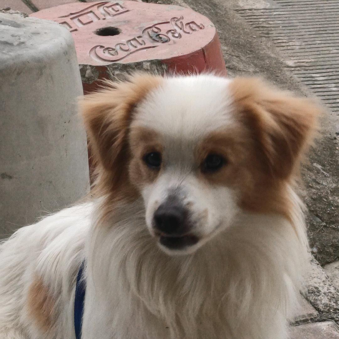 终于体会到