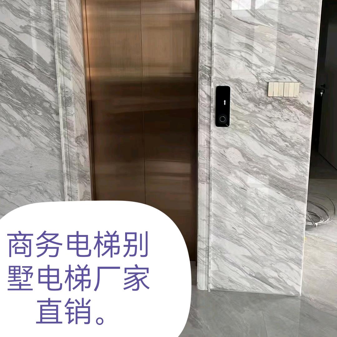 电梯货梯起重机