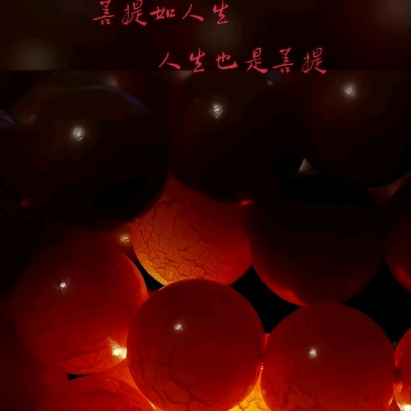 幸运菩提文玩阁