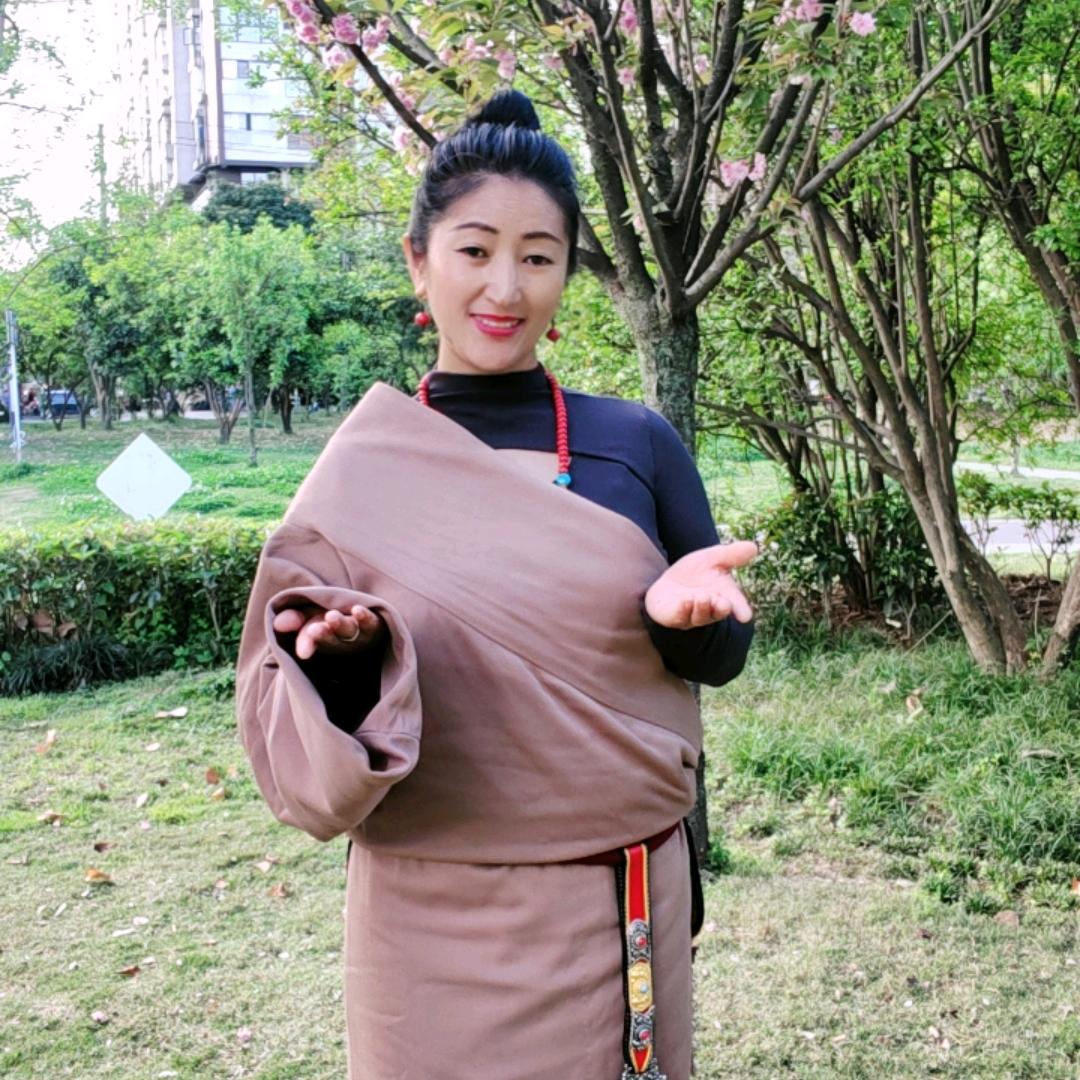 阿姐美朵2号