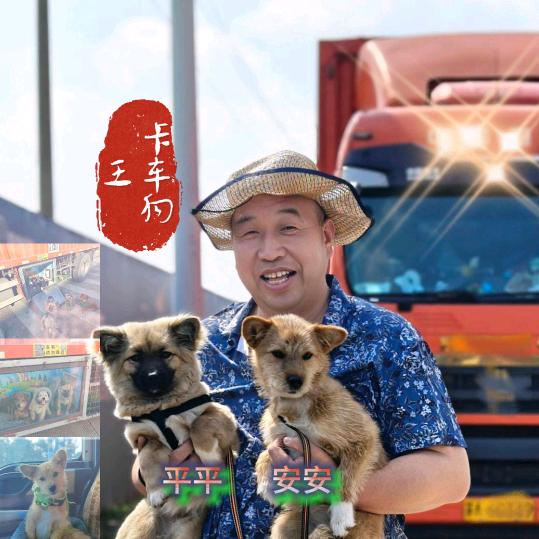 卡车狗王